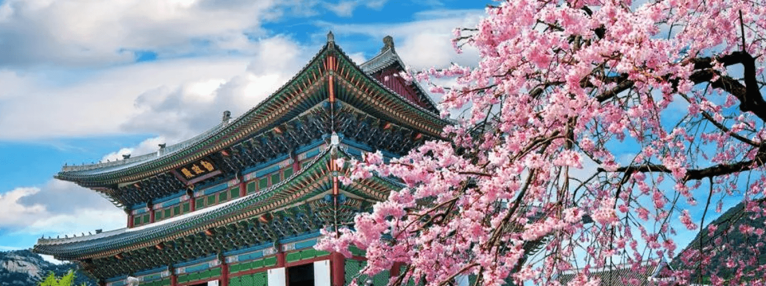 South Korea cover