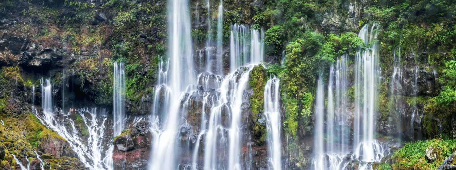 Réunion cover