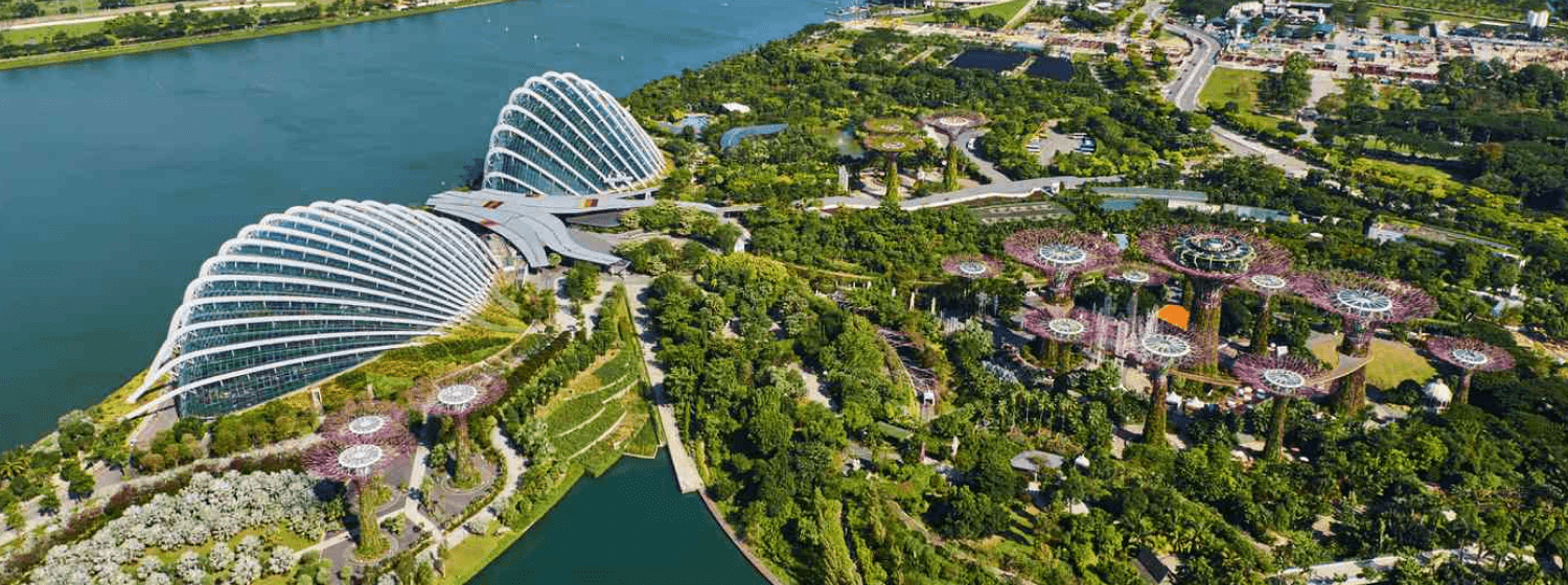 Singapur cover